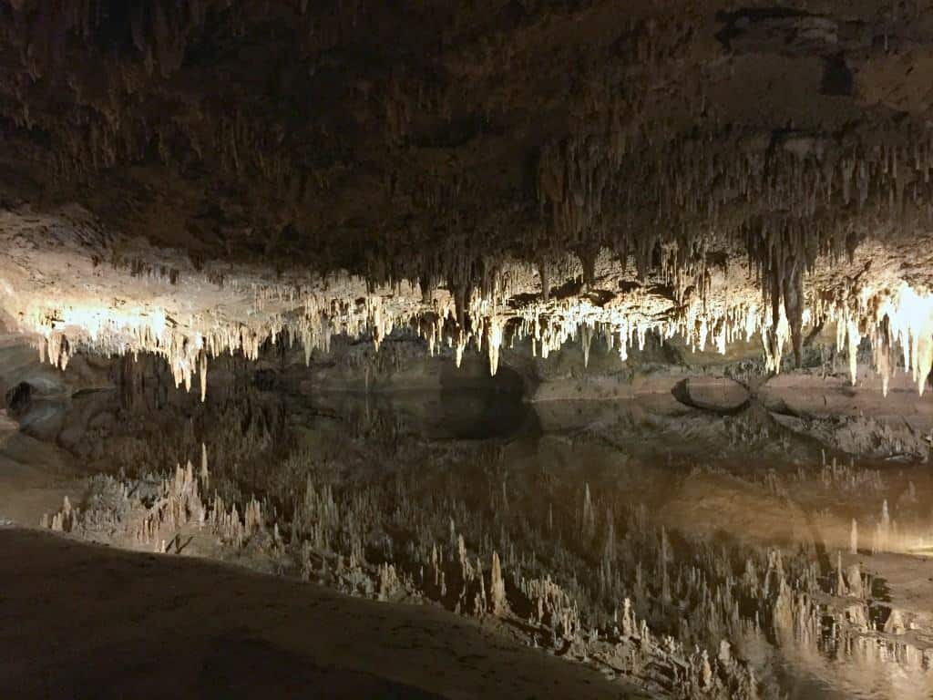 can i bring my dog to luray caverns