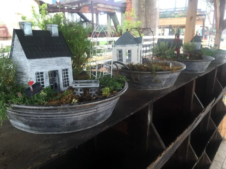Fairy Gardens in Waco, TX at Magnolia Market at the Silos