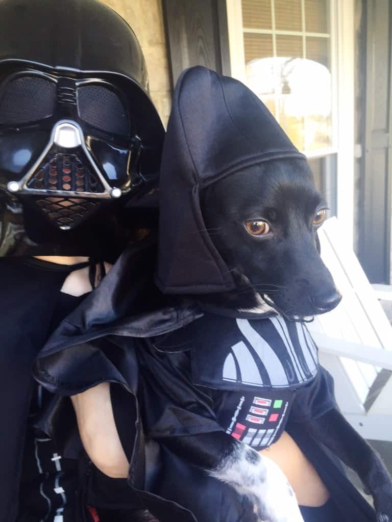 Darth Vader Dog Costume