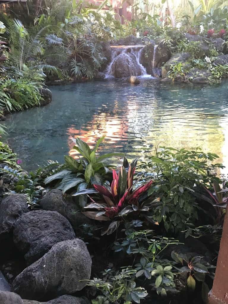 Should you dine at dinner at 'Ohana at Disney's Polynesian Village Resort?
