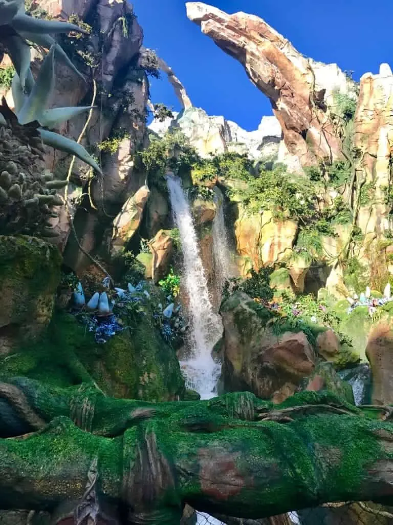 What time do you have to get to Disney's Animal Kingdom so you can ride Flights of Passage? Early!