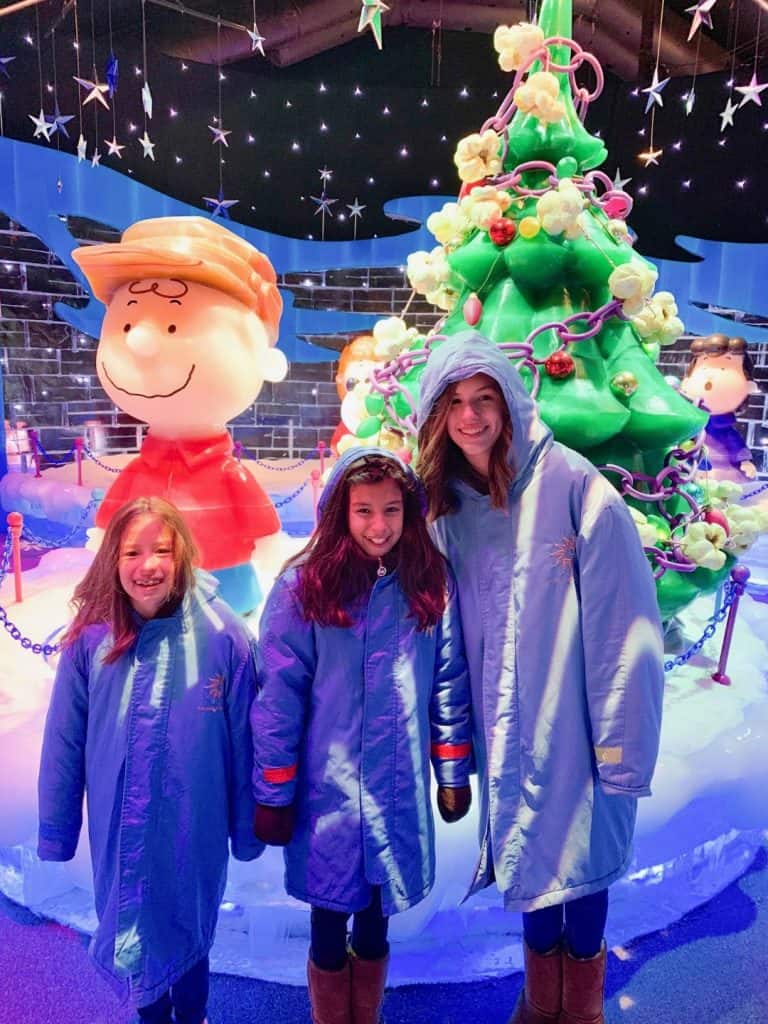 Gaylord Ice Charlie Brown with Certifkid.