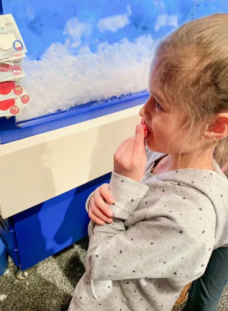Gaylord National Build a Bear