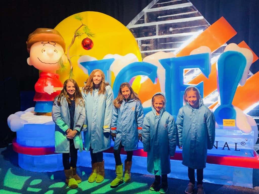 Discounts on Gaylord National ICE!
