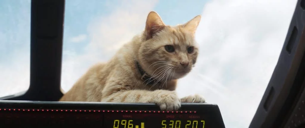 Goose the Cat in Captain Marvel is kid friendly.