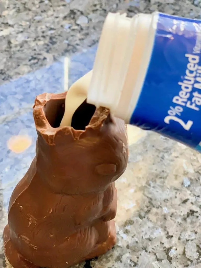 The next step in how to eat a chocolate bunny is to pour milk inside the ears.