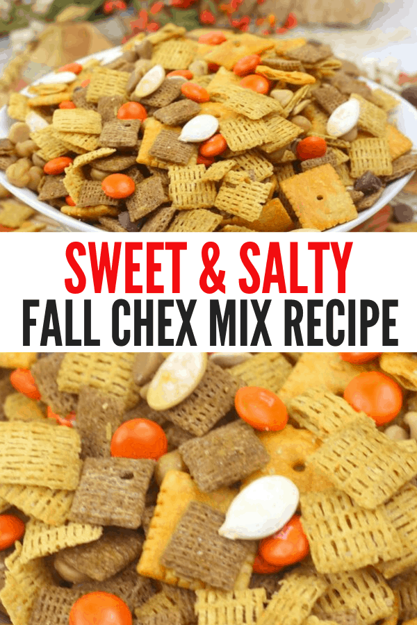 Sweet and Savory Fall Chex Mix Homemade Recipe