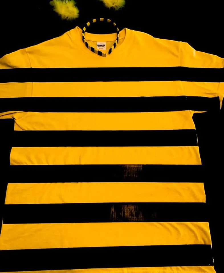 How to make a Spelling Bee costume
