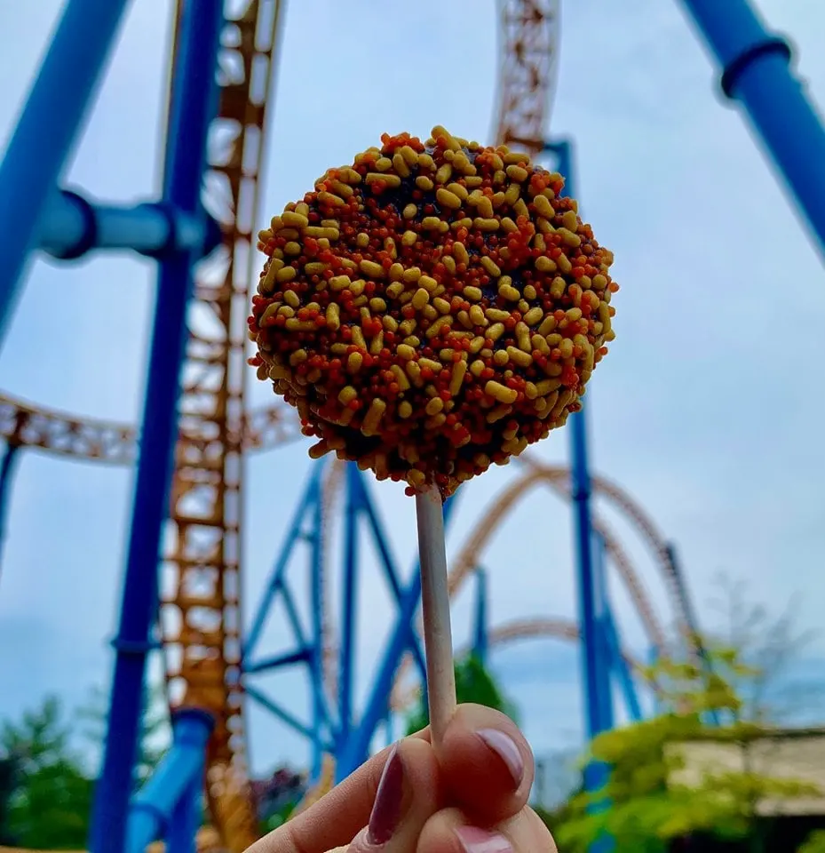 Best Hershey Park Snacks