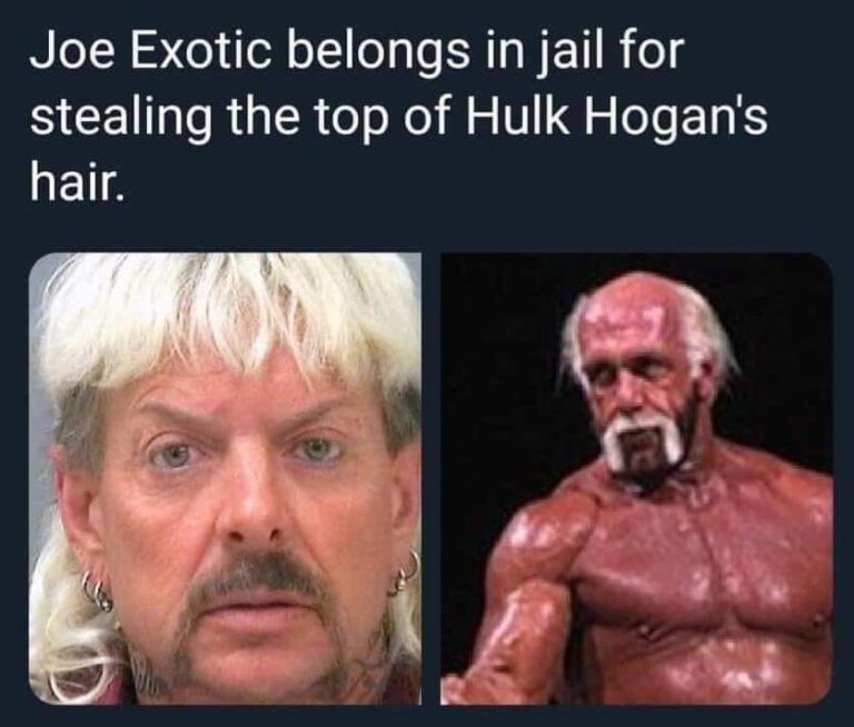 Funny Tiger King Memes About Joe Exotic and Carole Baskin