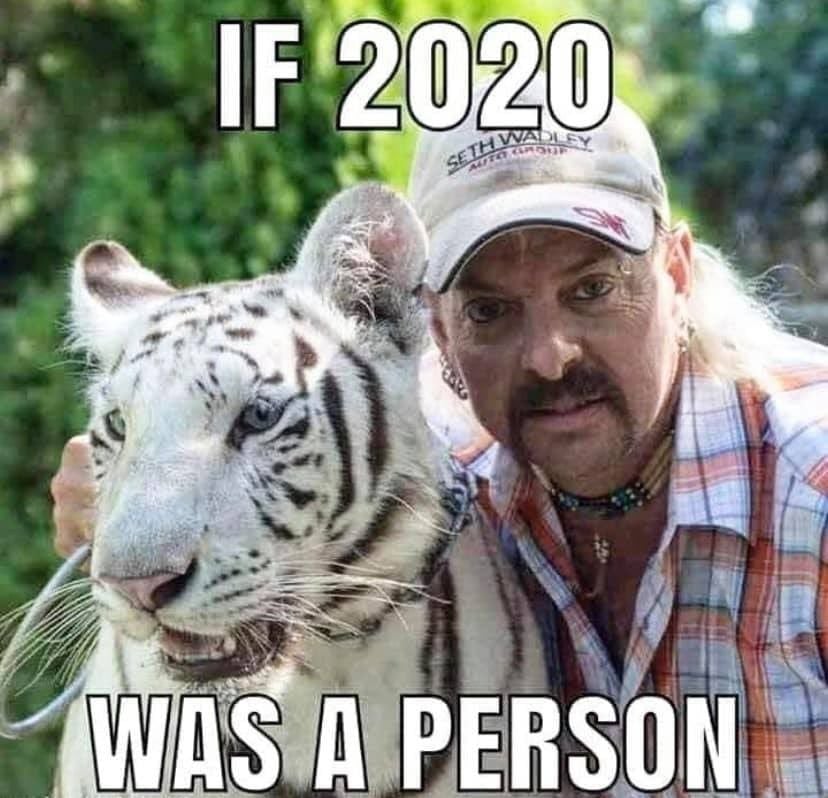 Funny Tiger King Memes About Joe Exotic and Carole Baskin