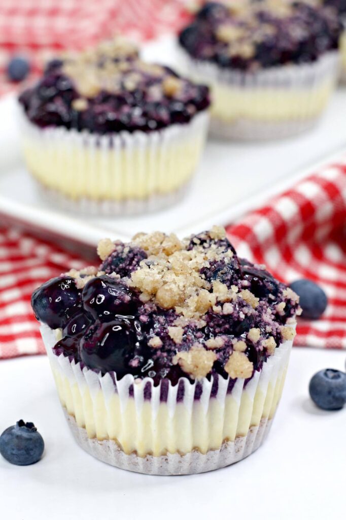 Mini Blueberry Cheesecake Recipe