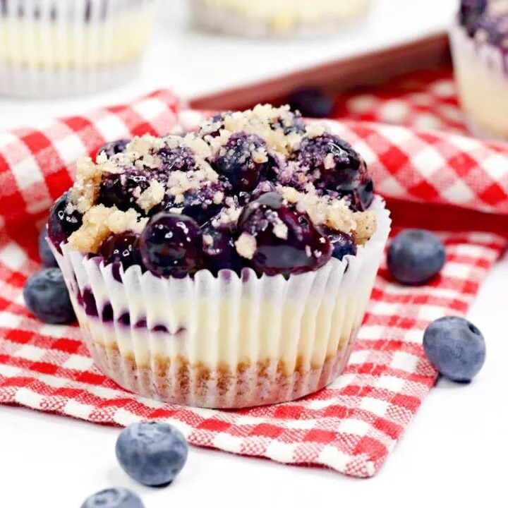 Mini Blueberry Pie Cheesecake Recipe
