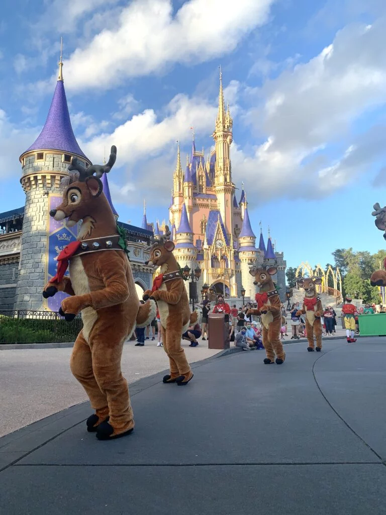 Christmas Cavalcades 2020