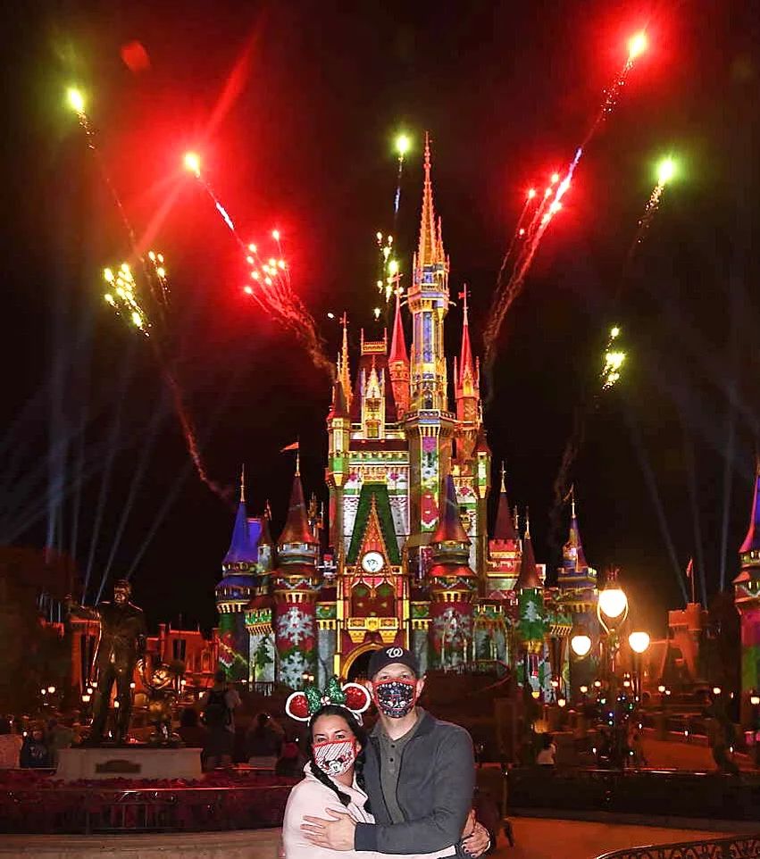 Cinderella Castle Holiday Projections