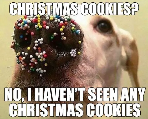 Dog Christmas Meme