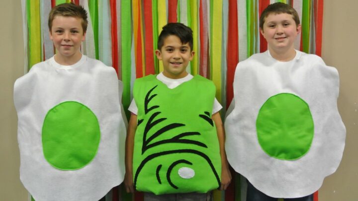 Image for Dr. Seuss Green Eggs and Ham DIY Egg Costume