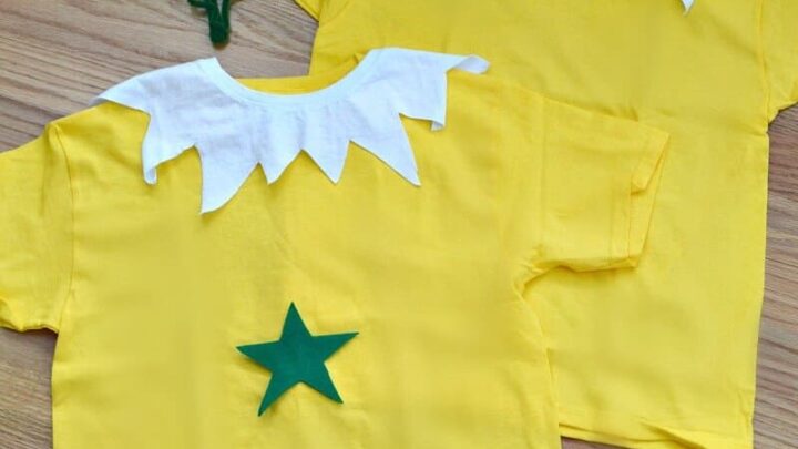 Image for Easy Dr. Seuss Costume &ndash; The Sneetches