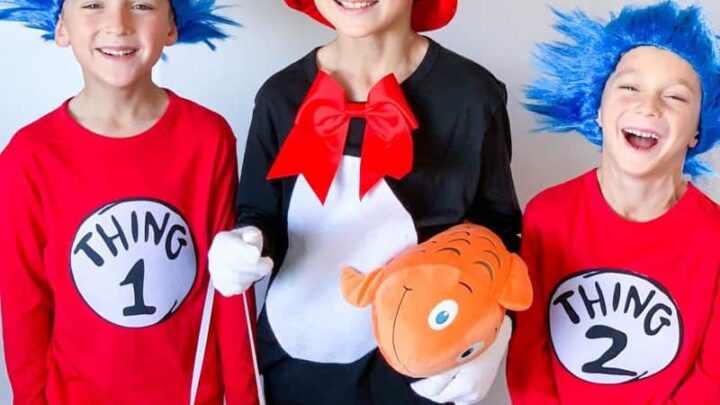 Thing 1 and Thing 2 Costume