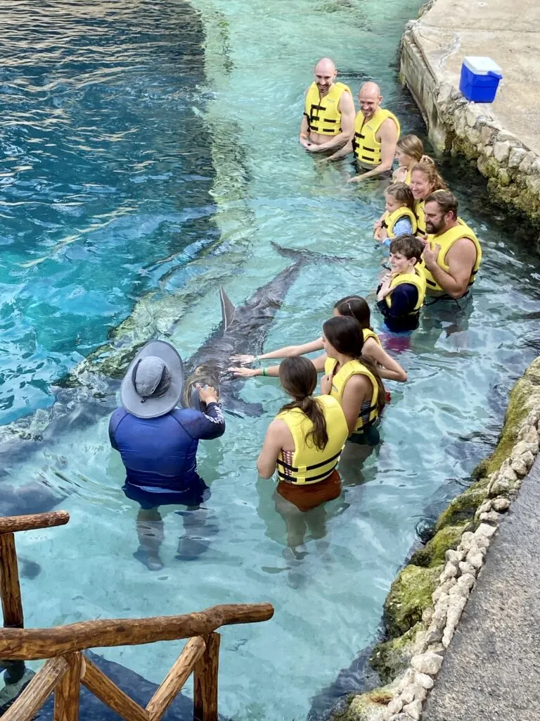 Dolphin Encounter at Dolphinaris Cozumel
