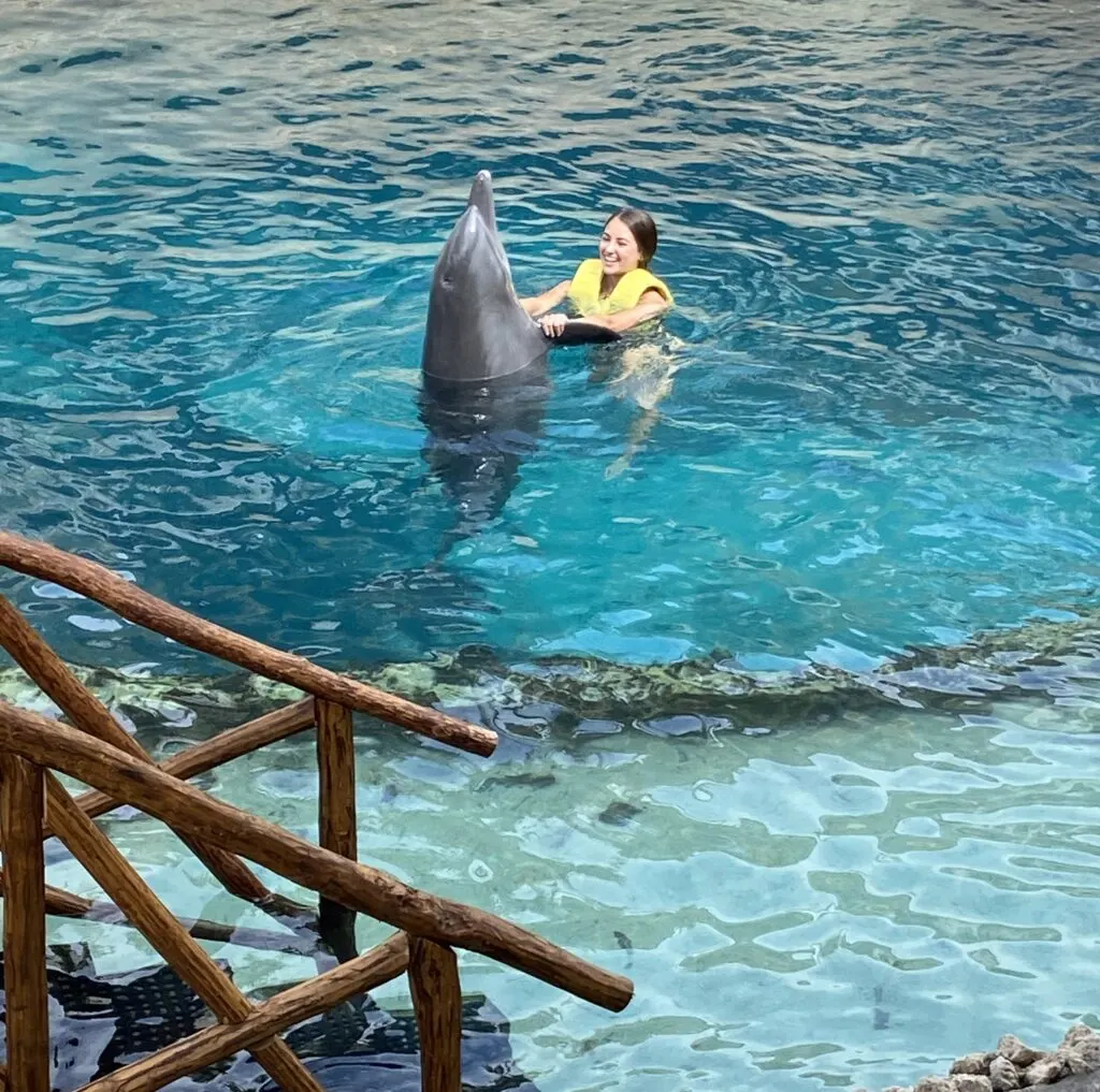 Dolphinaris Disney Cruise Line Excursion Cozumel