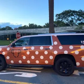 Minnie Van Number on Back of Car