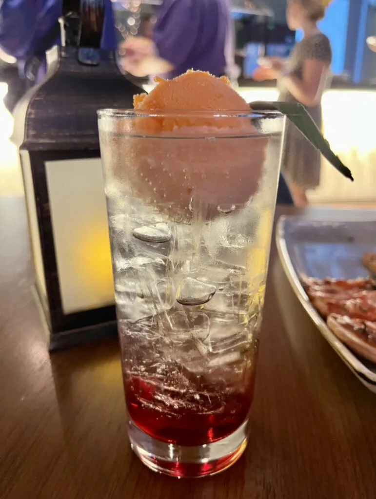 The Lion's Uncle Drink Top of the World Lounge