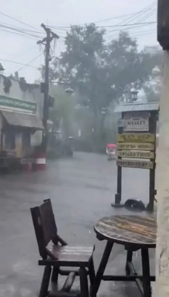 Disney World Hurricane Policy