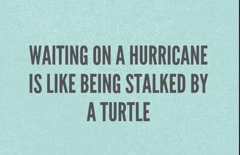 Hurricane Turtle Meme