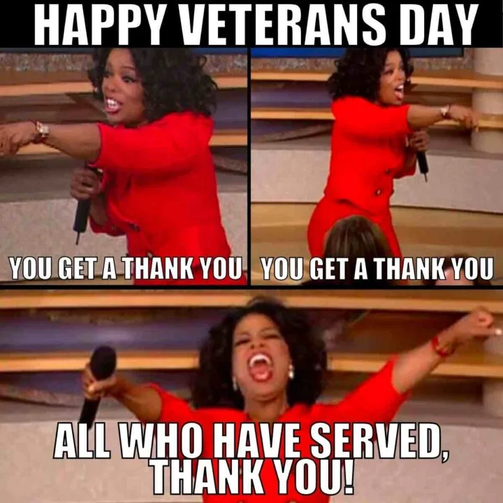 Best Veterans Day Meme 2022