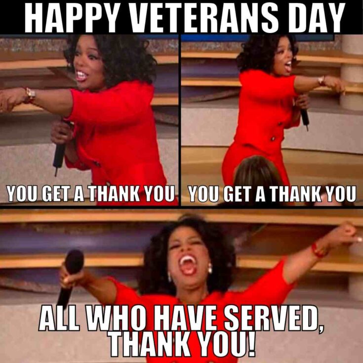 The Best Veterans Day Memes for 2024 Lola Lambchops