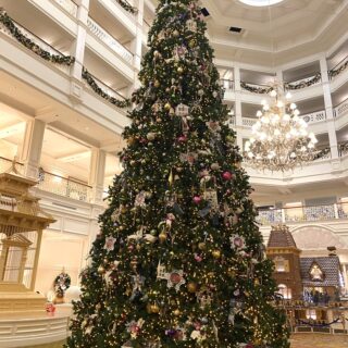 Christmas Tree at Disney's Grand Floridian Resort
