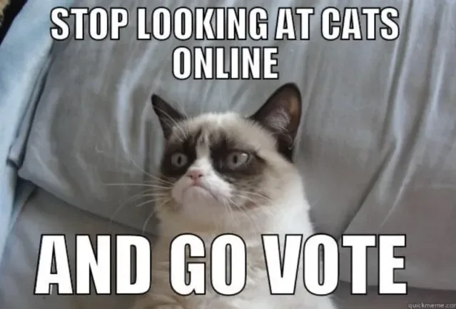 Funny Cat Election Day Meme