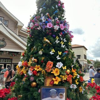 Encanto Tree at Disney Springs