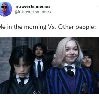 Enid and Wednesday Meme
