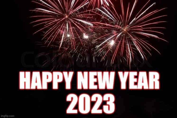 The Best 2023 Happy New Year Memes - Lola Lambchops