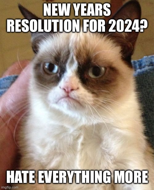 New Years Resolution Meme 2024