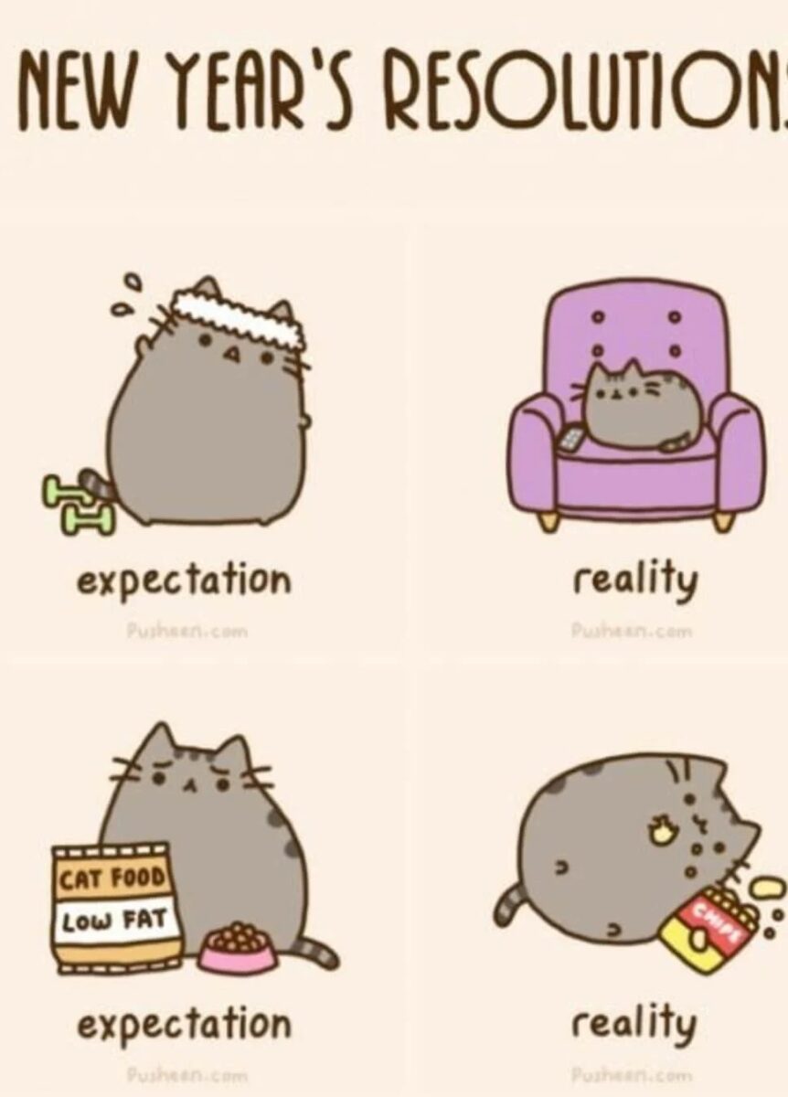 Hilarious New Year's Resolution Memes for 2026 - Lola Lambchops