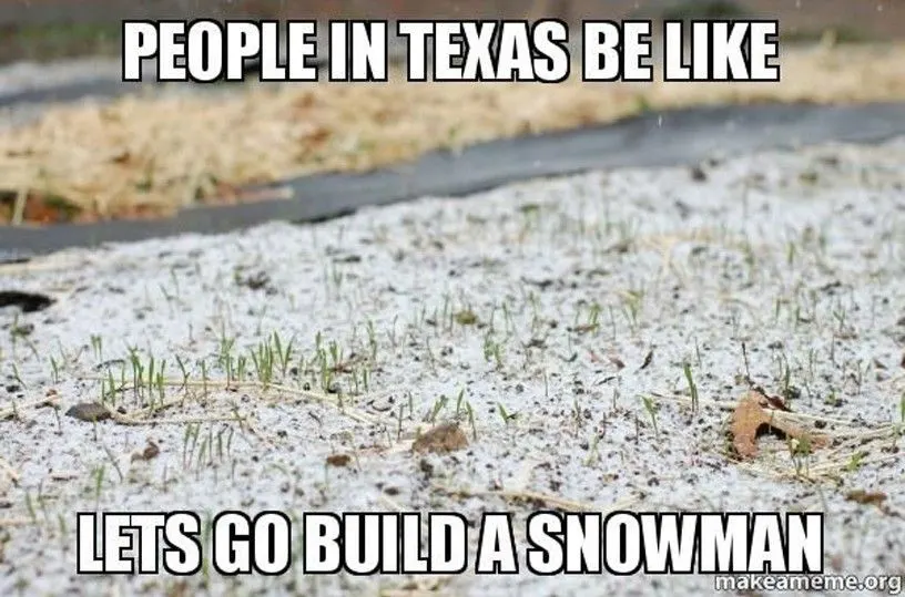 Funny Texas Winter Meme