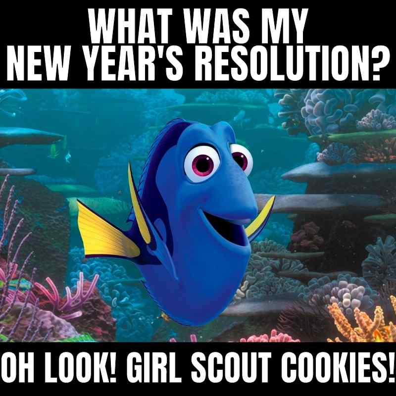 Girl Scout Cookies Meme about Resolutions