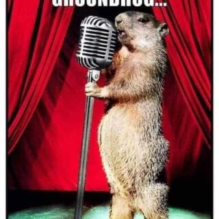 Groundhog Day Memes 2023