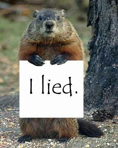 Groundhog Day liar meme