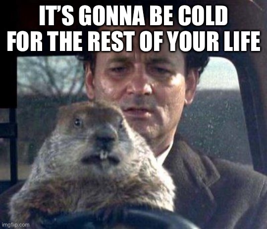 Happy Groundhog's Day Meme