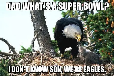Hilarious Super Bowl Meme