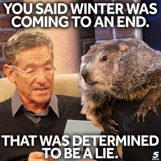 Maury Povich Groundhog Day Meme