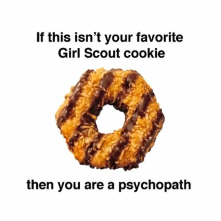 The Best 2024 Girl Scout Cookie Memes for Your Cookie Fix Lola Lambchops