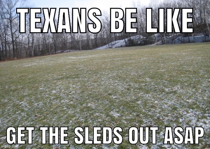 Hilarious 2023 Texas Winter Memes Including Ted Cruz - Lola Lambchops