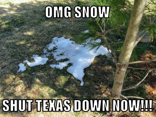 Texas Snow Meme 2023