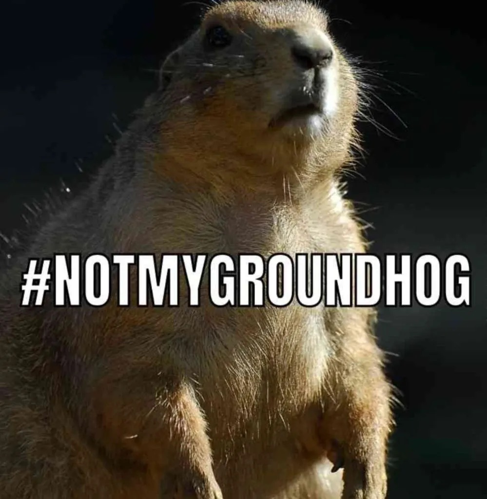 funny memes for groundhog day