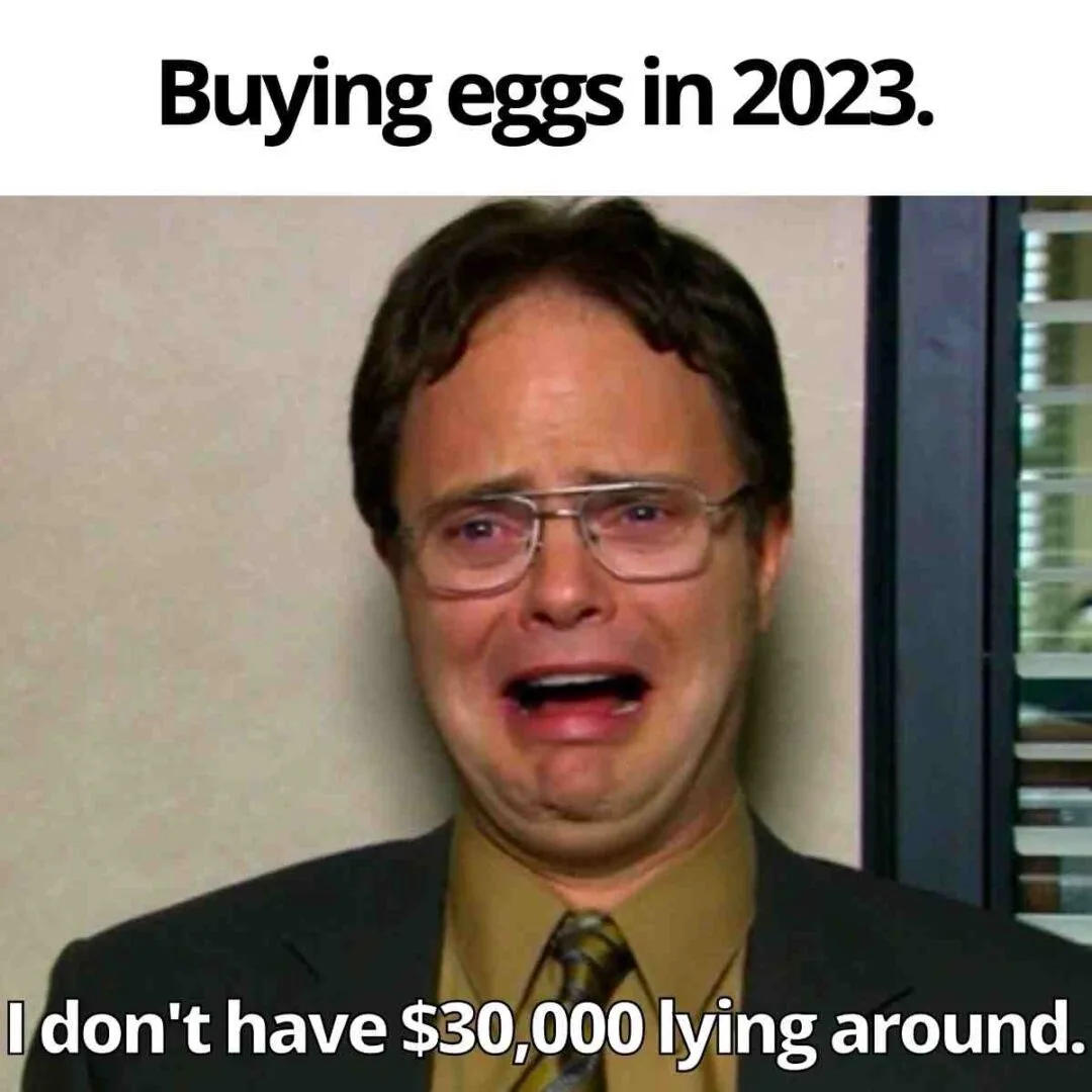 hilarious-egg-prices-memes.jpg.webp